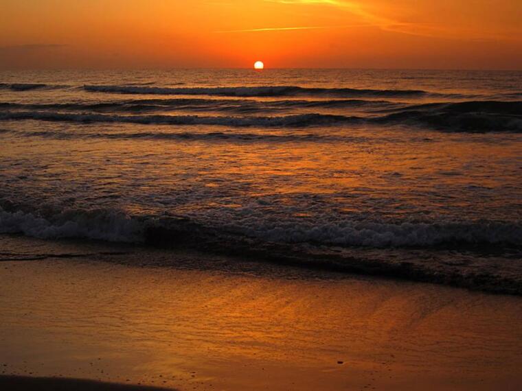 Resultado de imagen de imagen amanecer malvarrosa